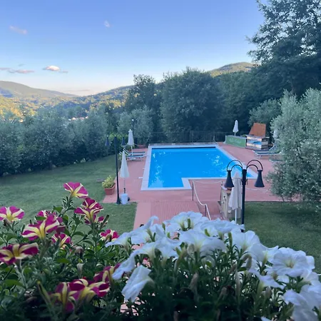 Relax Valtopina